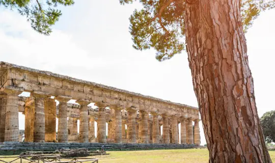 Pompeii, Paestum & Herculaneum
